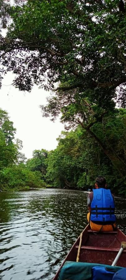 Belebar Studio Room Taman Negara Pahang Malaysia Kuala Tahan Eksteriør bilde